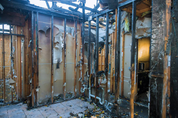 Professional Soot Cleanup technician working in Carrollton, OH